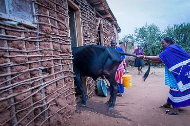 Inte in dit... Tanzania