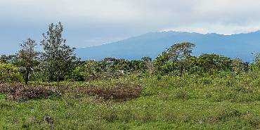 Kilimanjaro 